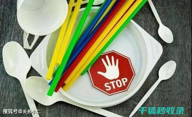 减少塑料使用：用行动迎接绿色革命 (减少塑料使用的措施)