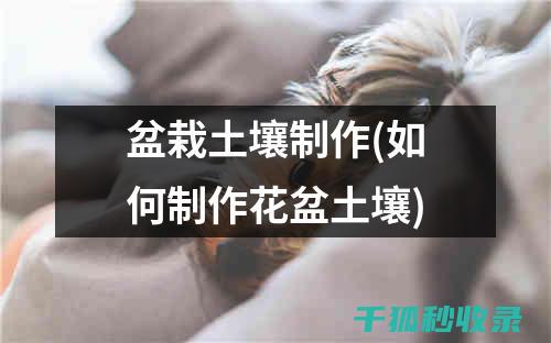 盆栽土壤配比：适合不同无机物需求植物的配方要点 (盆栽土壤配比方法)