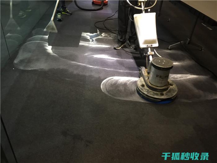 地毯污渍去除全攻略：从日常护理到深度清洁 (地毯污渍去除办法)