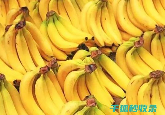 延长香蕉保鲜期？这些方法超实用 (延长香蕉保存时间)