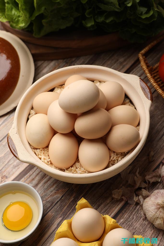 蛋类烹饪秘籍：教你煮蛋不破裂的小妙招 (蛋类烹饪秘籍大全)