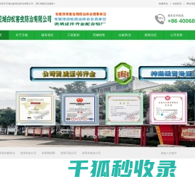 东莞白蚁防治