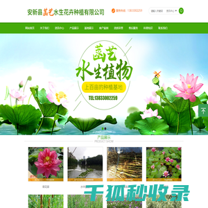 安新县菡艺水生花卉种植有限公司