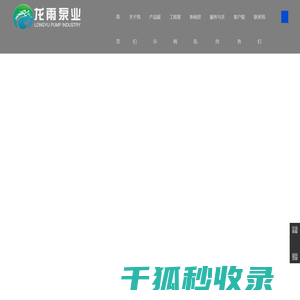 龙雨泵业渣浆泵